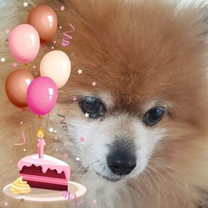 Meet your Posher, Jean